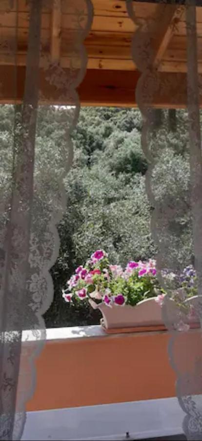 Armonia Apartments Corfu  Exterior foto