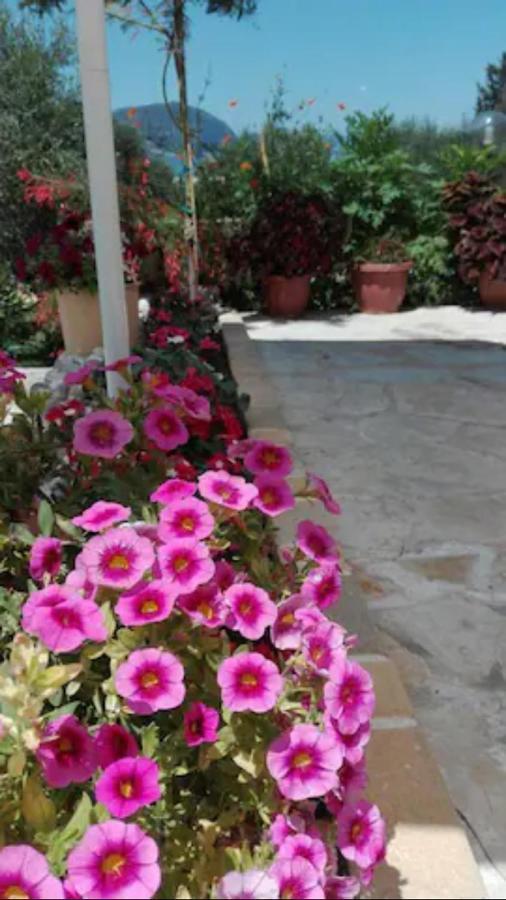 Armonia Apartments Corfu  Exterior foto